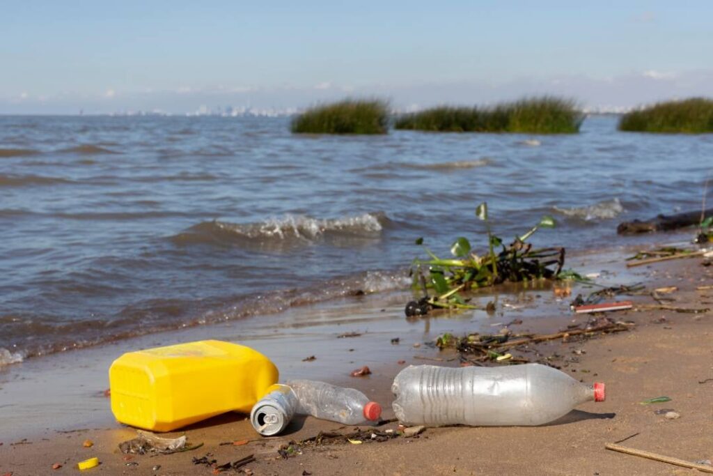 Discarded plastic bottles and packaging waste