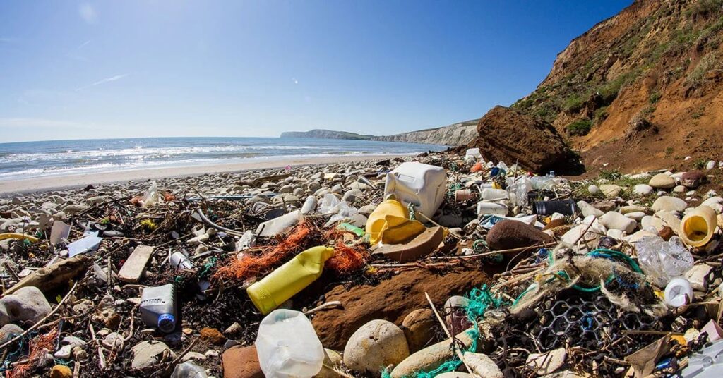 Plastic litter washed up on a beach